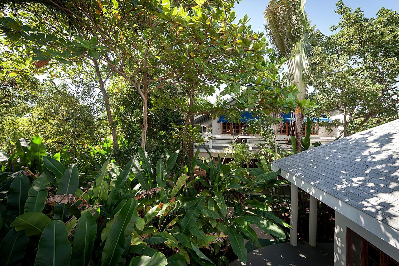 Jungle House Tree Top