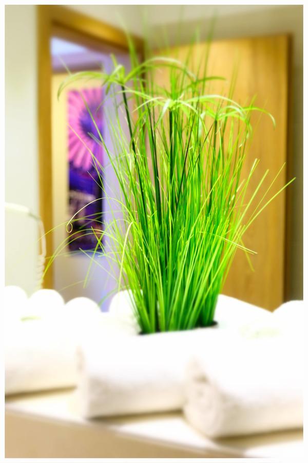 Family Room (2 Adults + 1 Child),645816027:JPEG