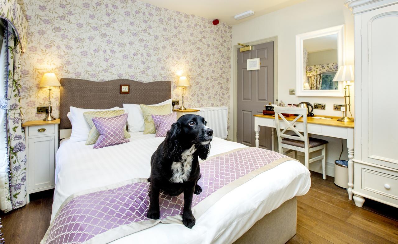 Standard Double Room - Dog Friendly