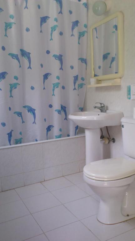 Studio (1 Adult)
