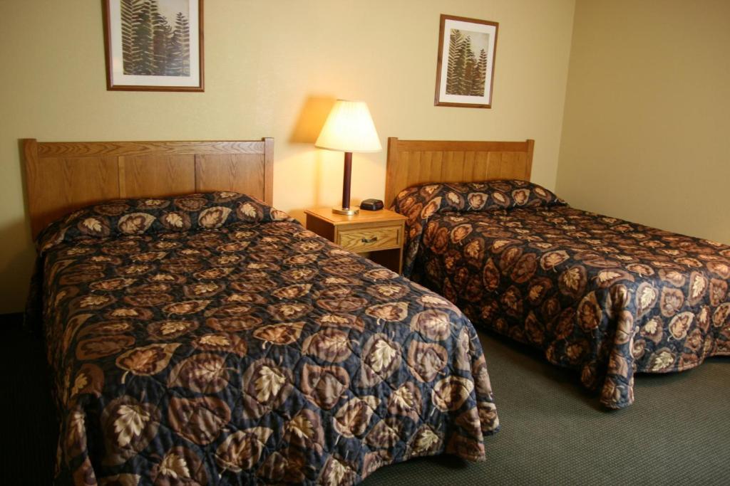 Basic Double Room