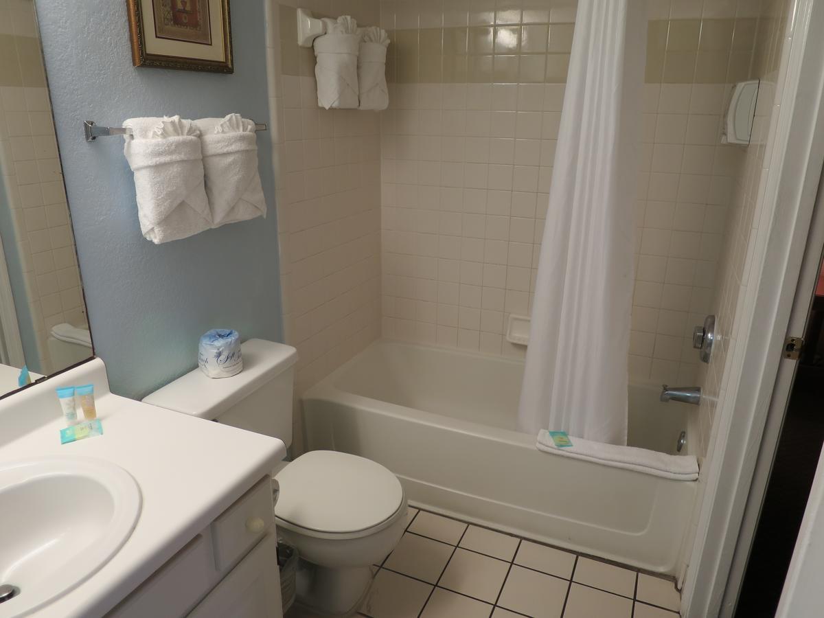 One Bedroom Loft B