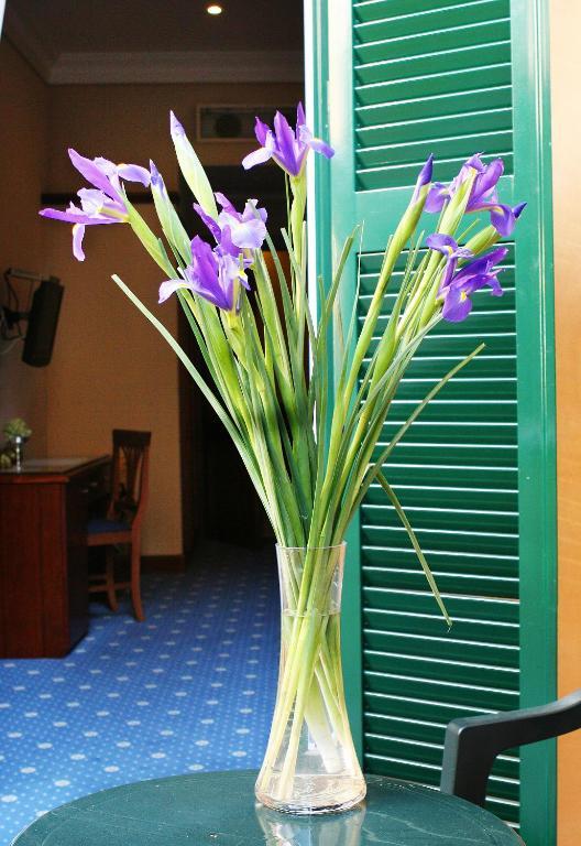 Double Room,66675238:JPEG