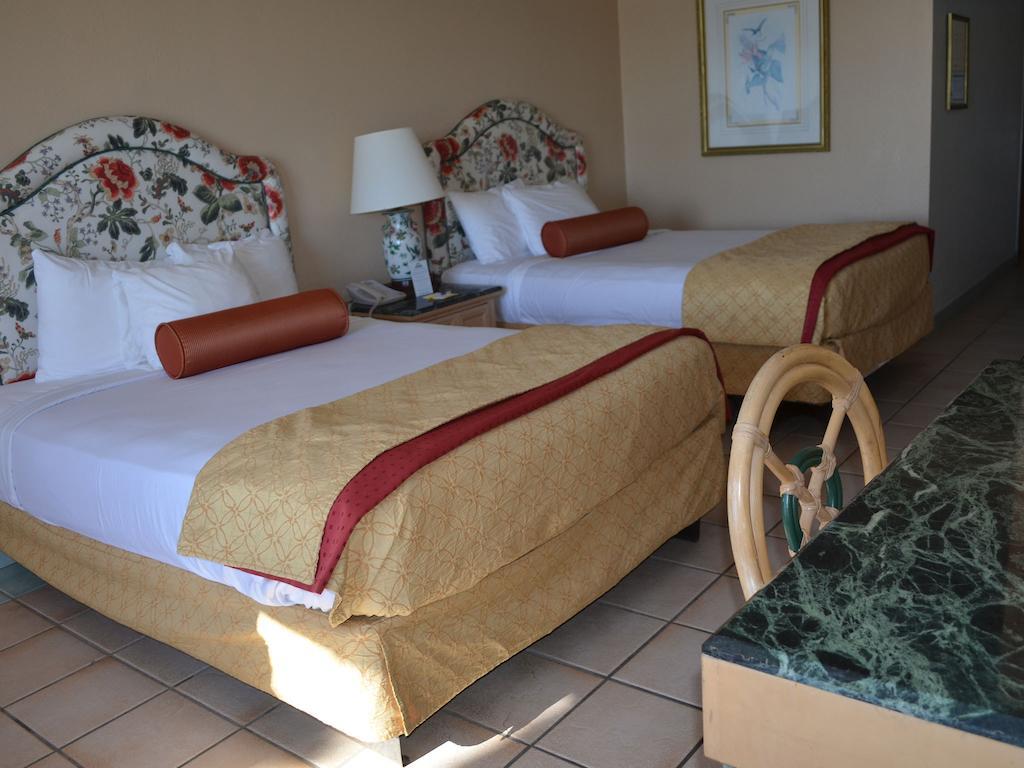 Queen Studio Two Queen Beds Beach View Non-Smoking,67380962:JPEG