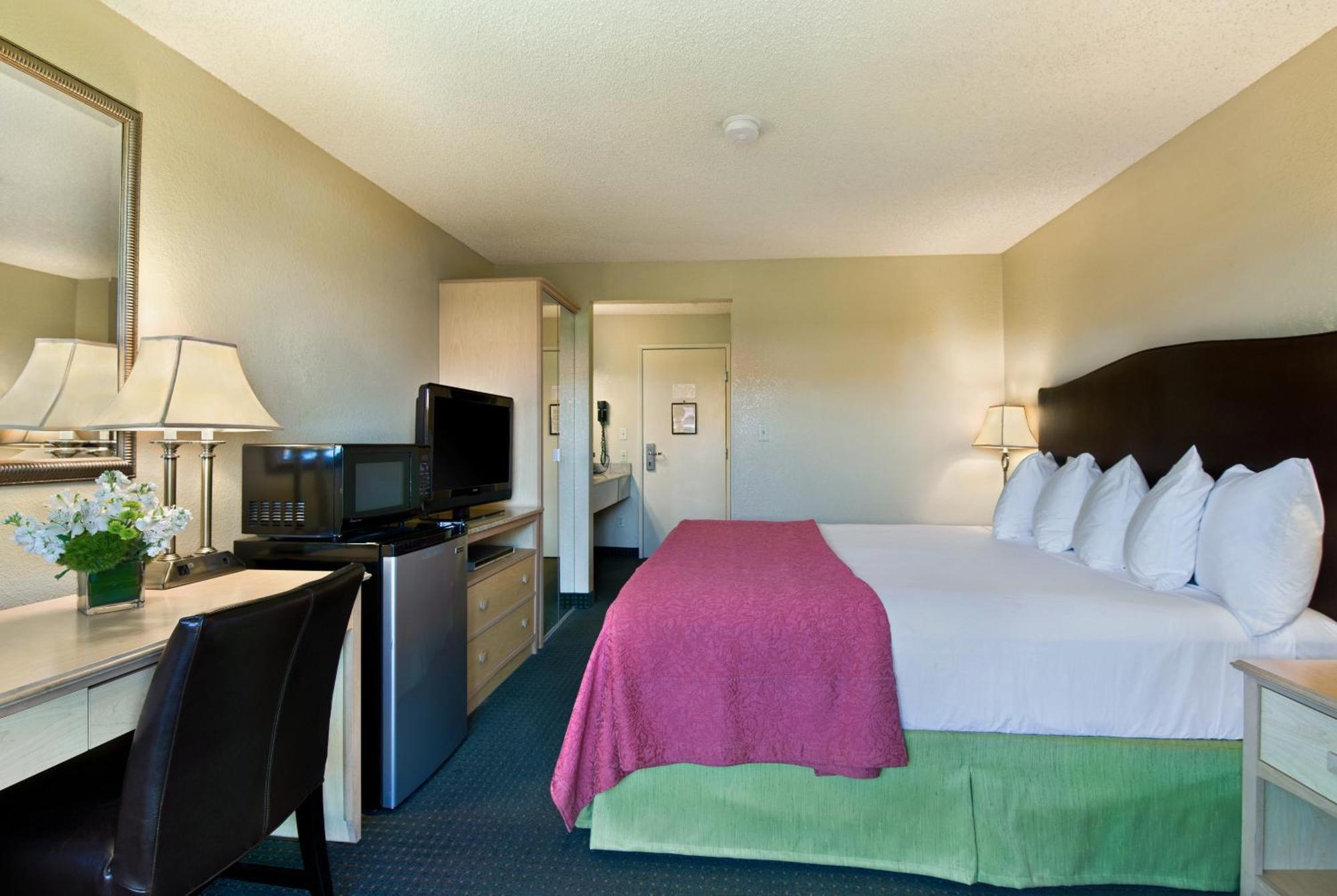 King Room with Pool View - Non Smoking