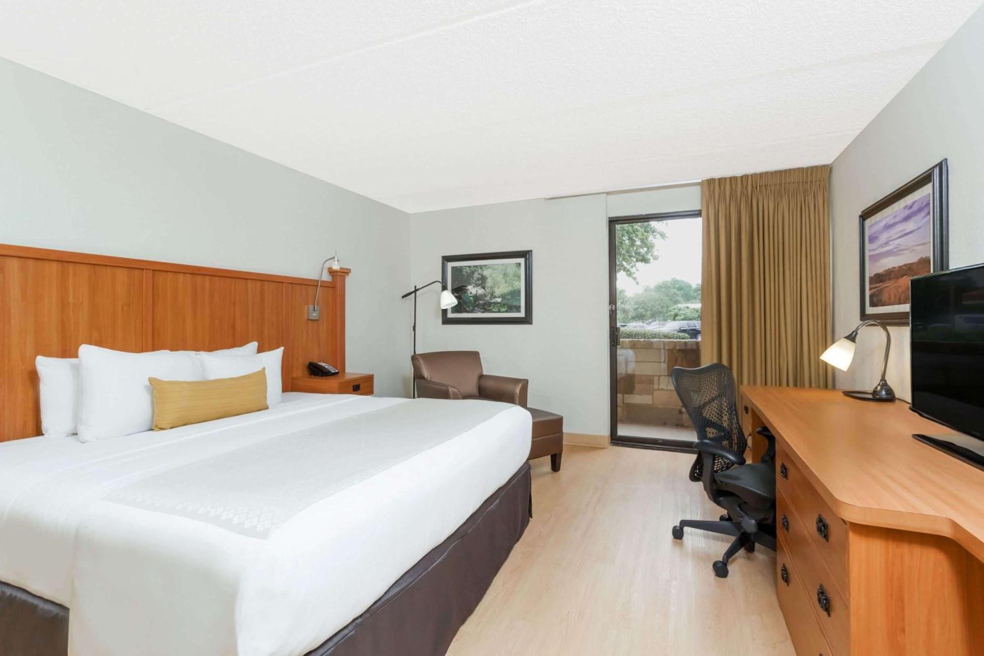 Habitación Individual Deluxe
