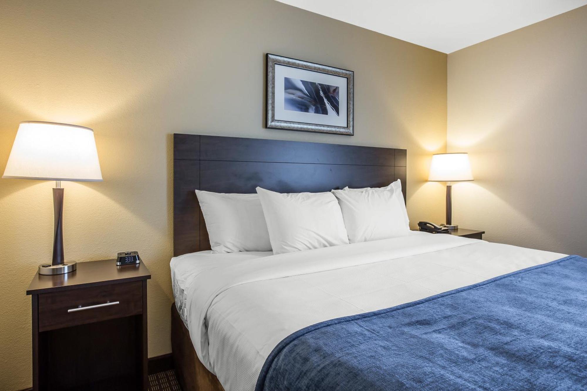 King Suite with Sofa Bed