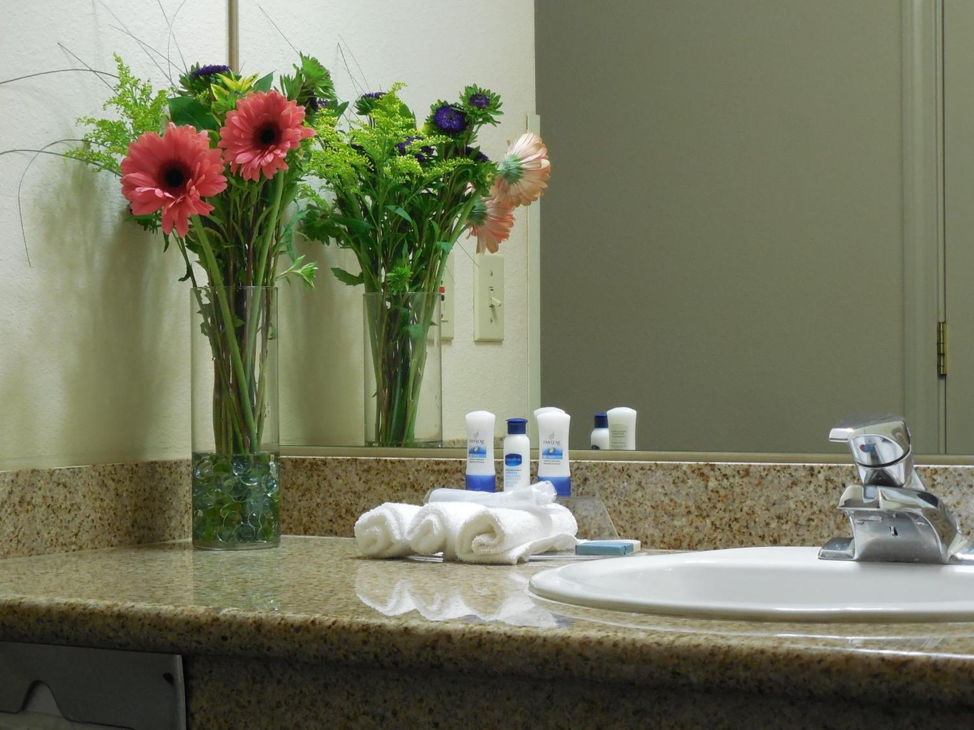 Queen Room with Roll-in Shower - Non-Smoking/Mobility Access