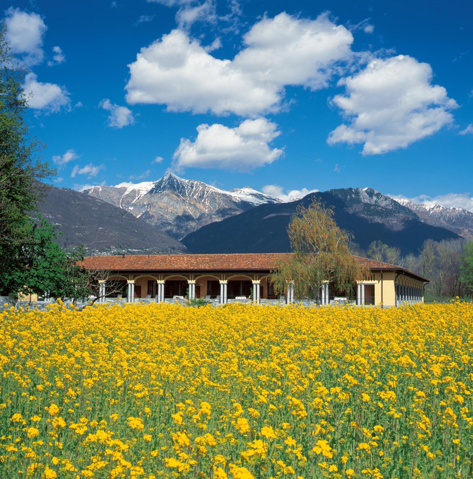Retreat Loggia Süit