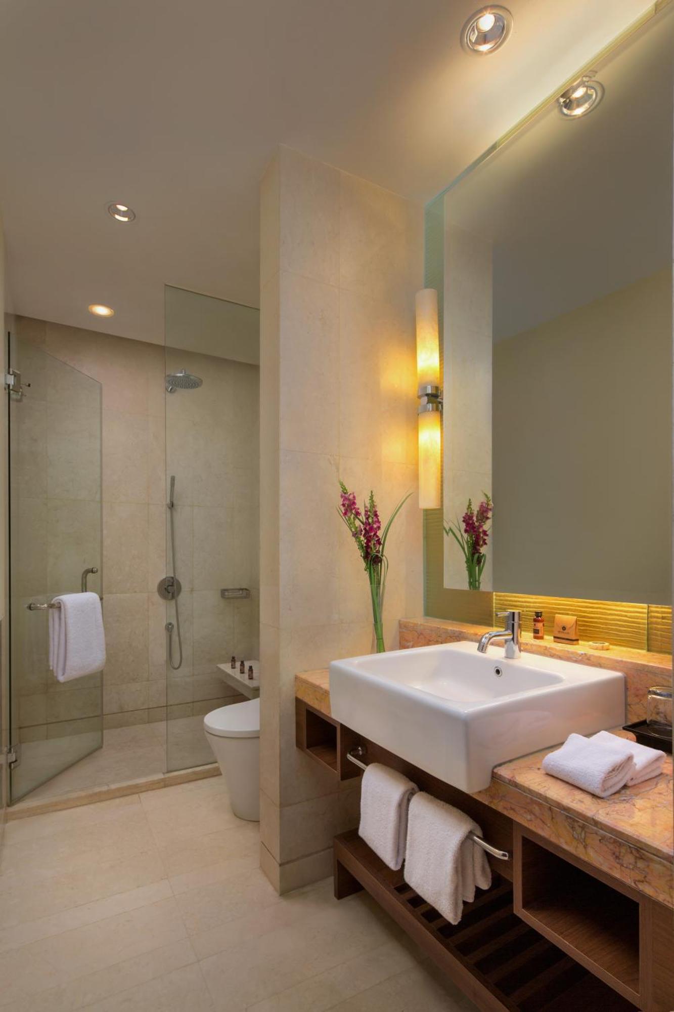 Deluxe One-Bedroom Apartment