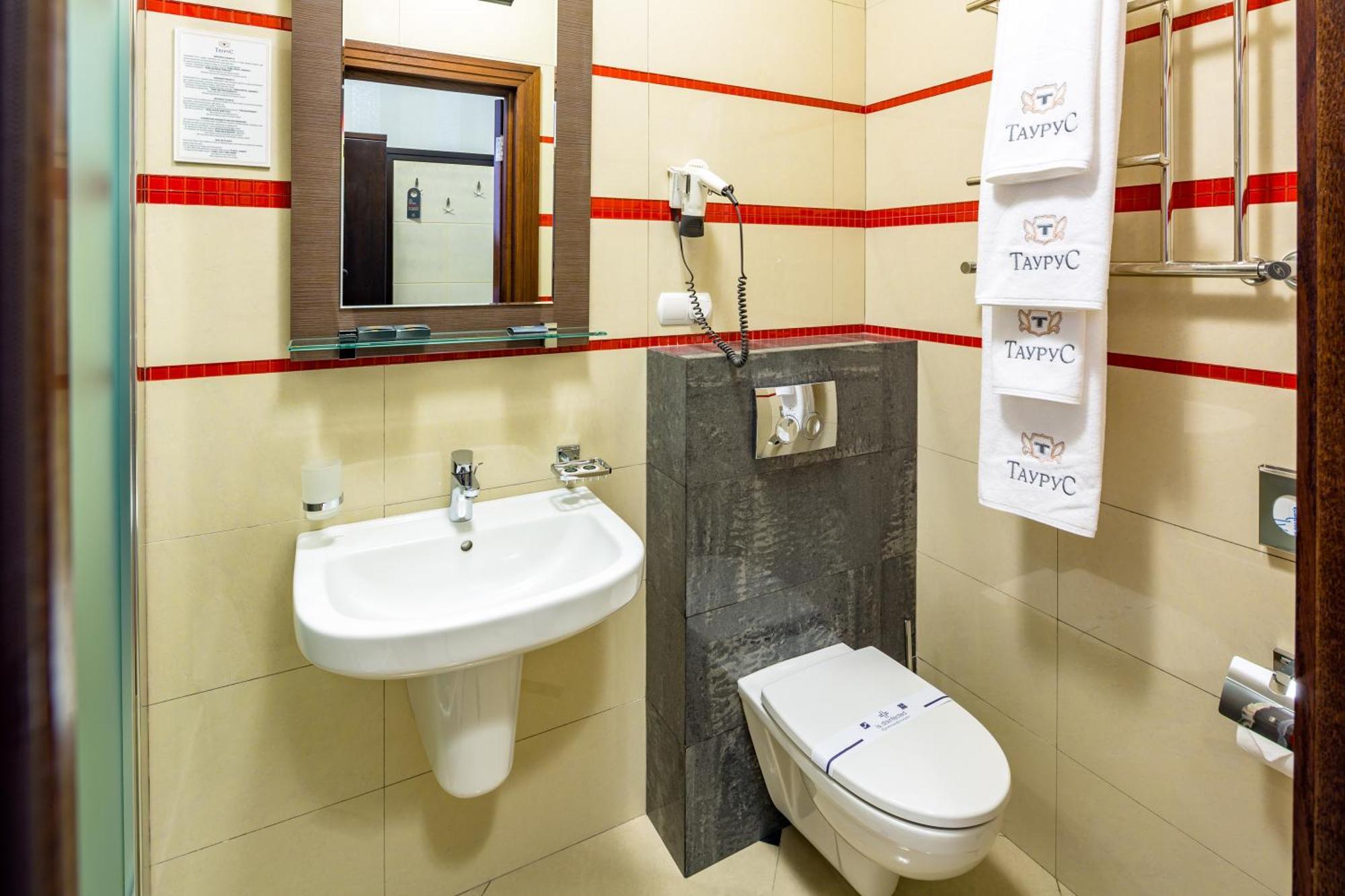 Large Double or Twin Room