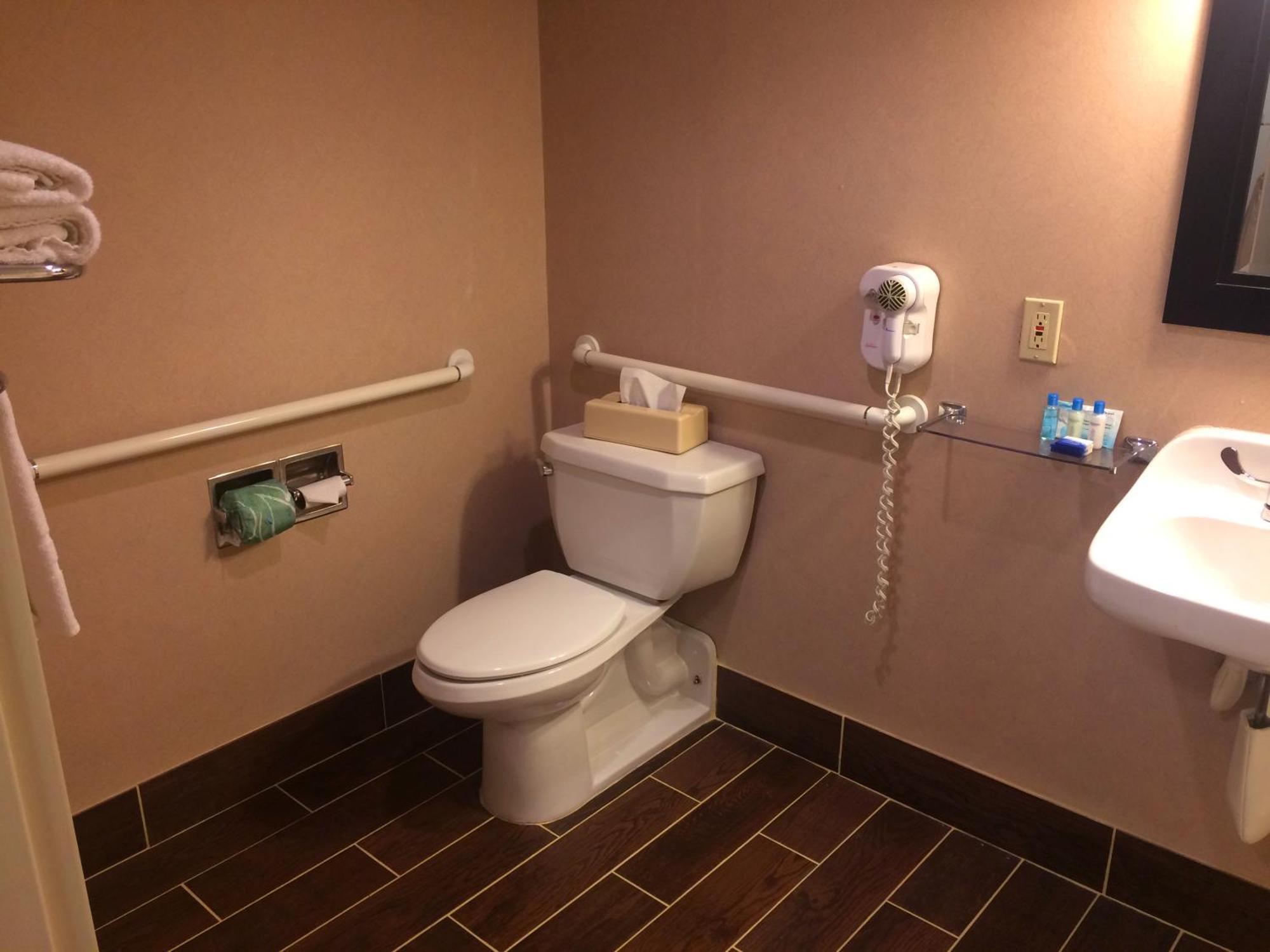 King Room with Bath Tub - Mobility Accessible/Non-Smoking