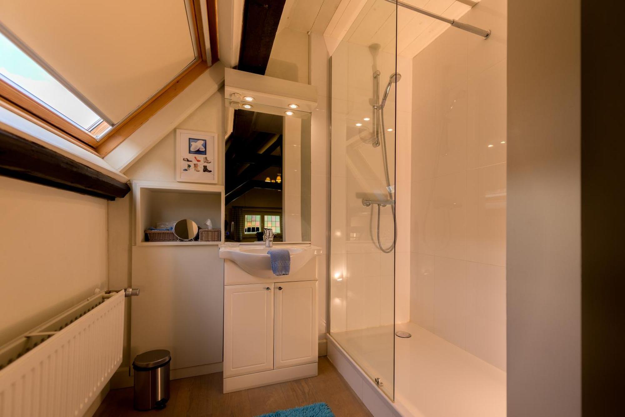Suite Shower