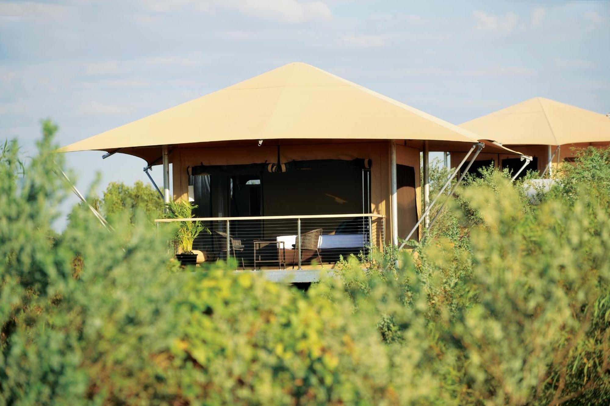Family Eco Tent