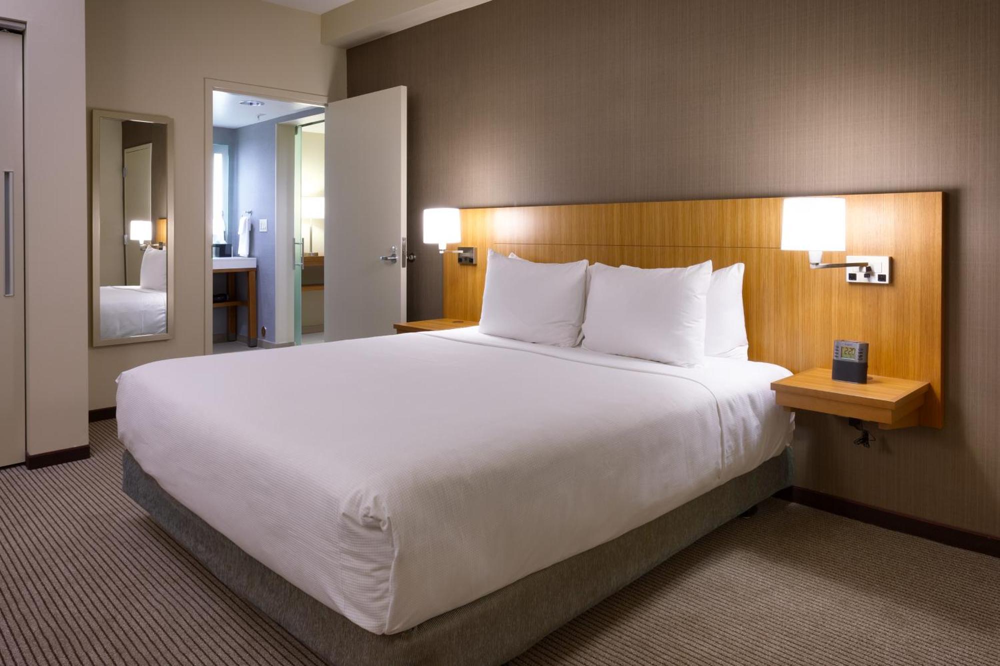 Suite Lit King-Size avec Canapé-Lit et Douche Accessible en Fauteuil Roulant - Accessible aux Personnes à Mobilité Réduite