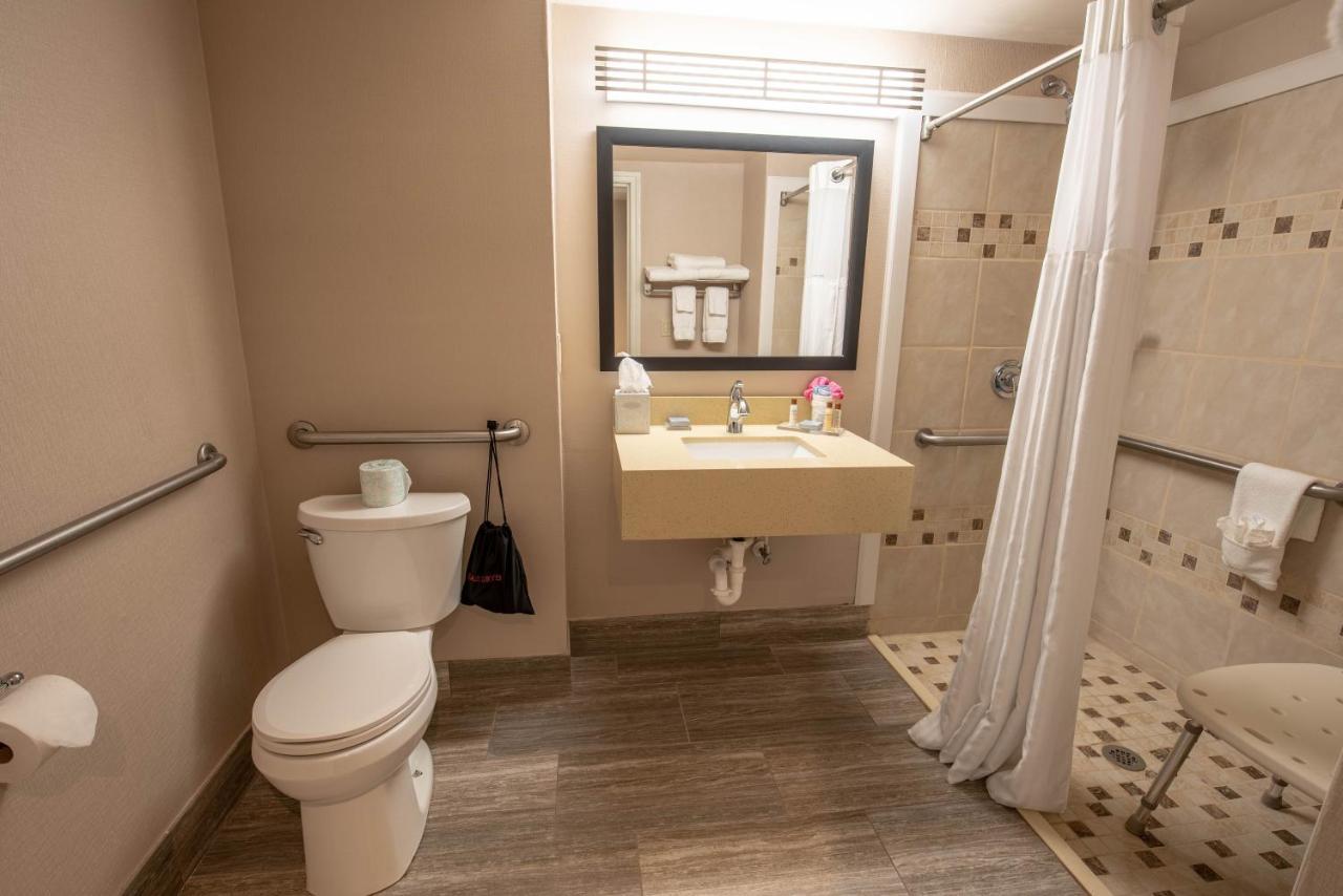 King Room - Disability Access - Non-Smoking