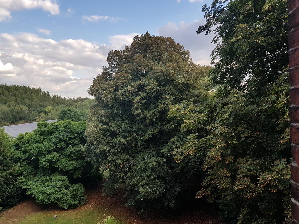Suite met Uitzicht op de Tuin