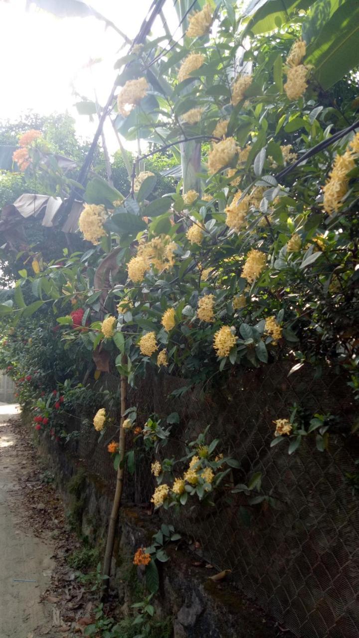 Bungalow Gia Đình