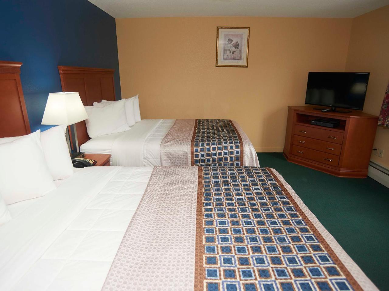 Two Queen beds with Sofa bed and Kitchen