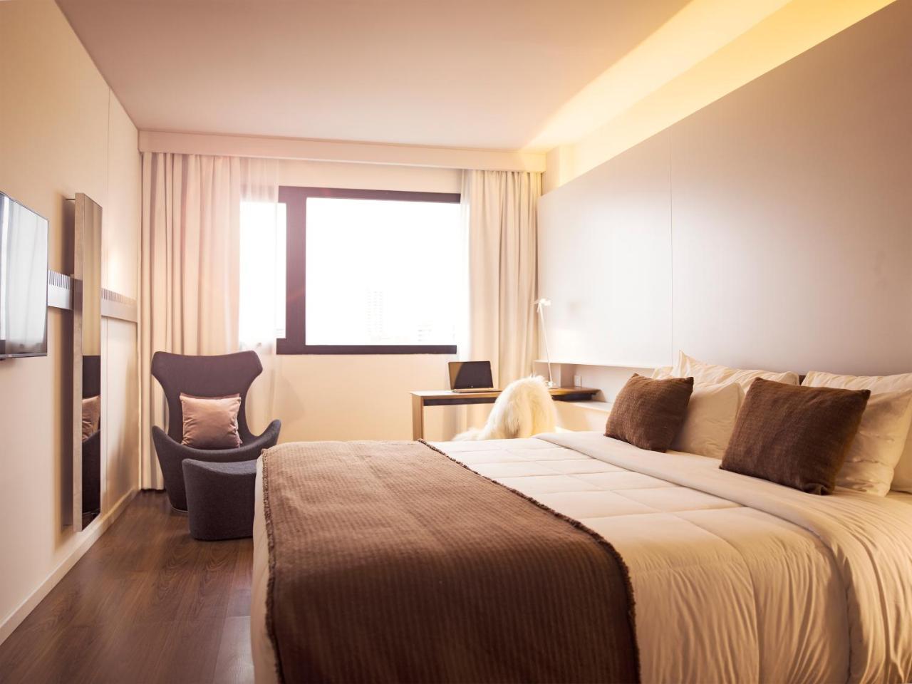 Suite con cama extragrande