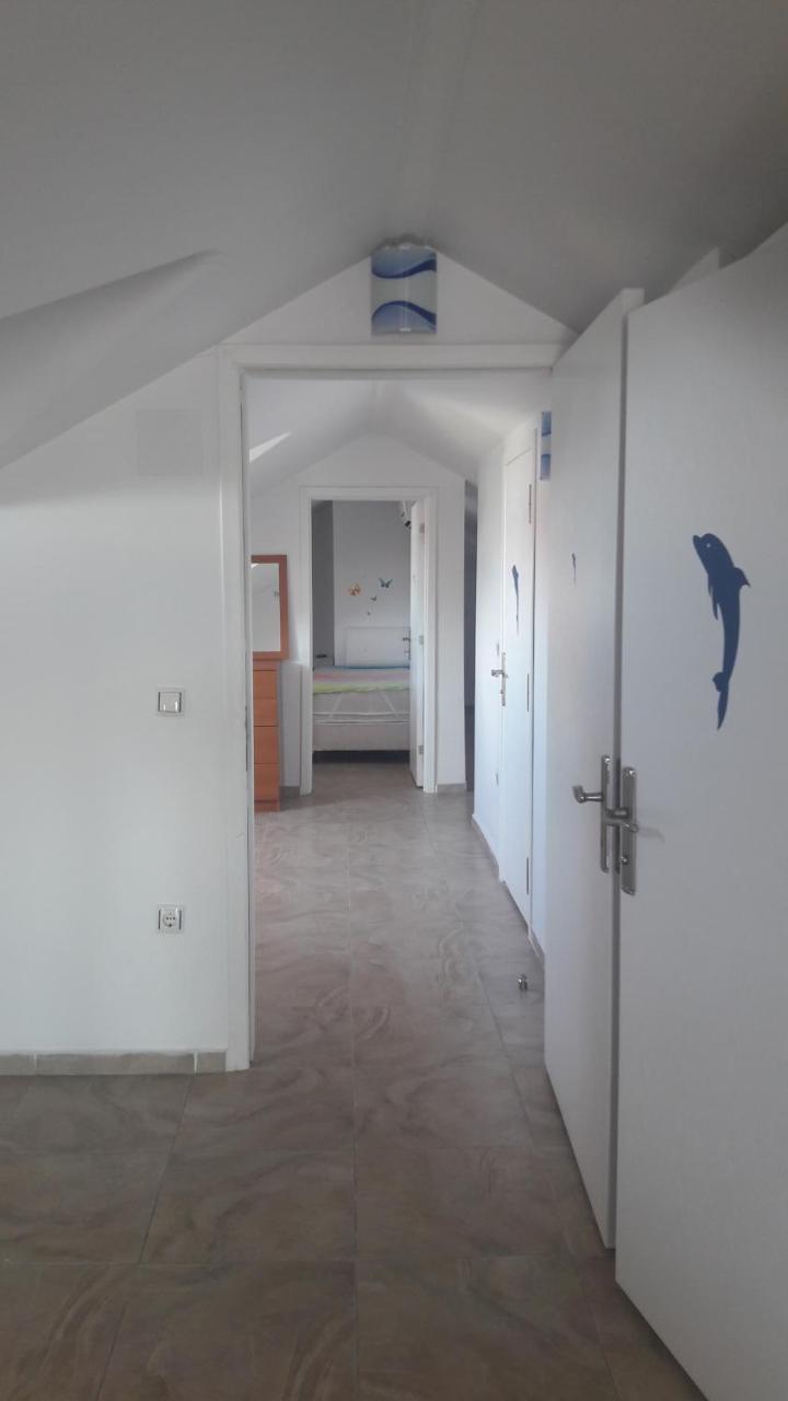 Standard Suite,800111478:JPEG