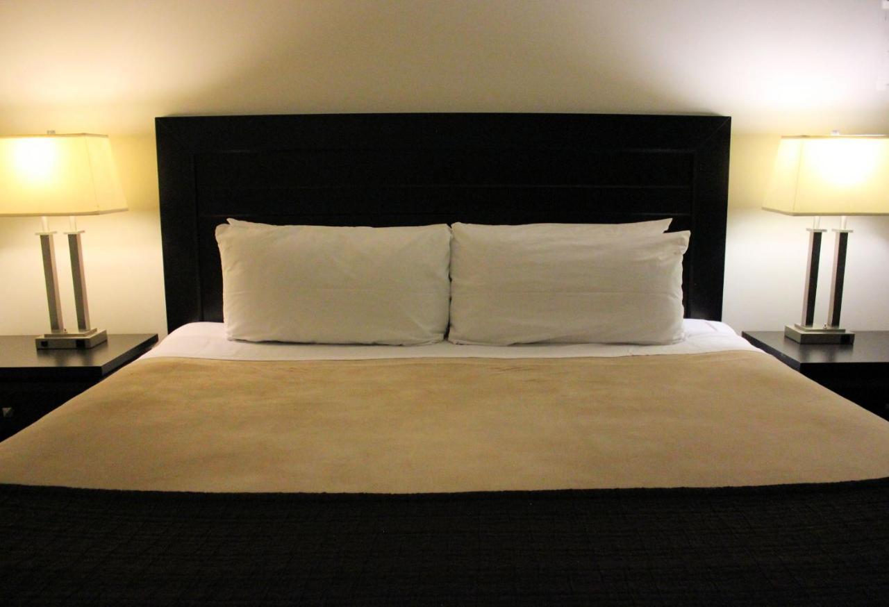 Superior King Suite