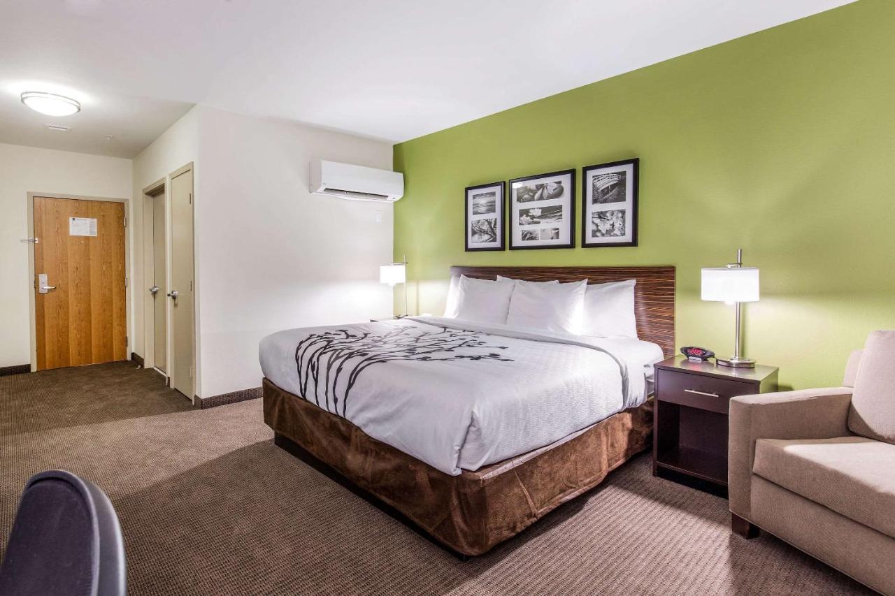 Kamer met Kingsize Bed en Douche - Rookvrij