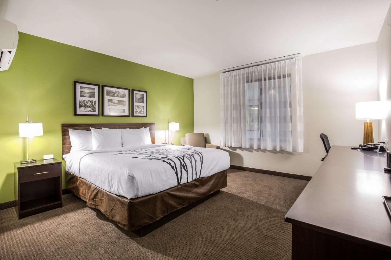 Kamer met Kingsize Bed - Rookvrij