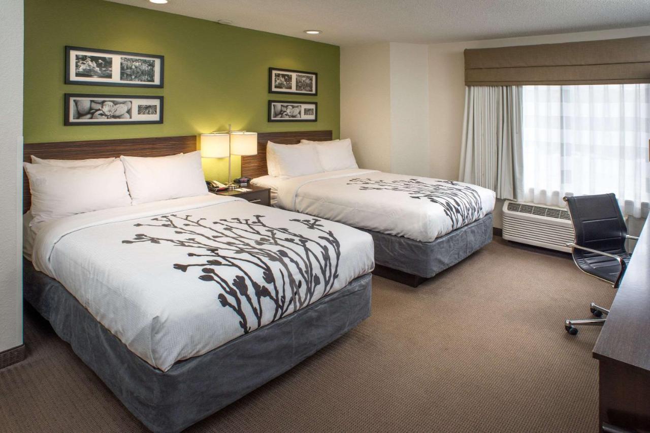 Double Room with Two Double Beds - Non-Smoking