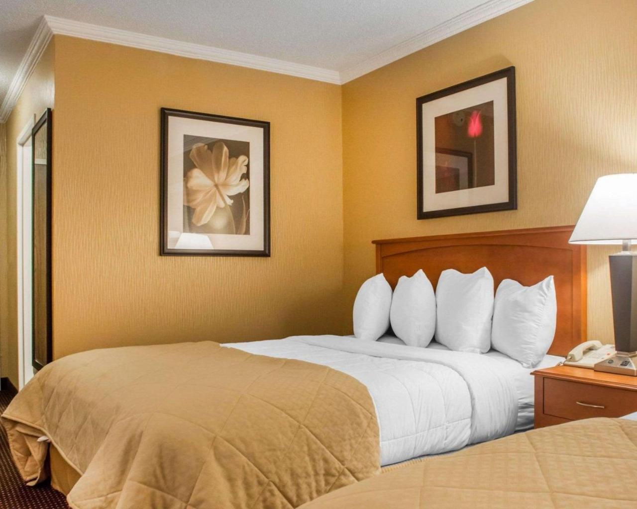 Queen Room with Two Queen Beds - Pets Allowed