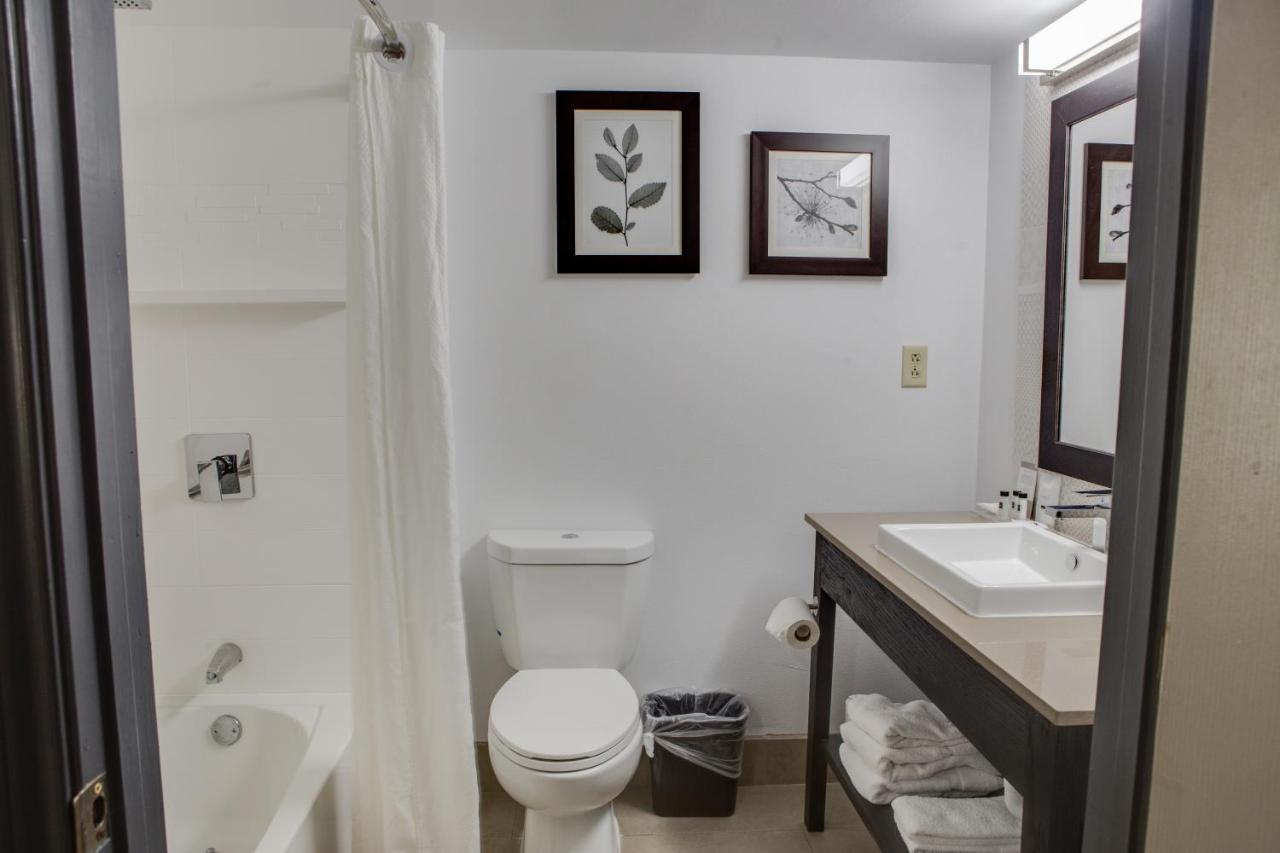 One-Bedroom Suite with Two Queen Beds and Sofa Bed - Non-Smoking