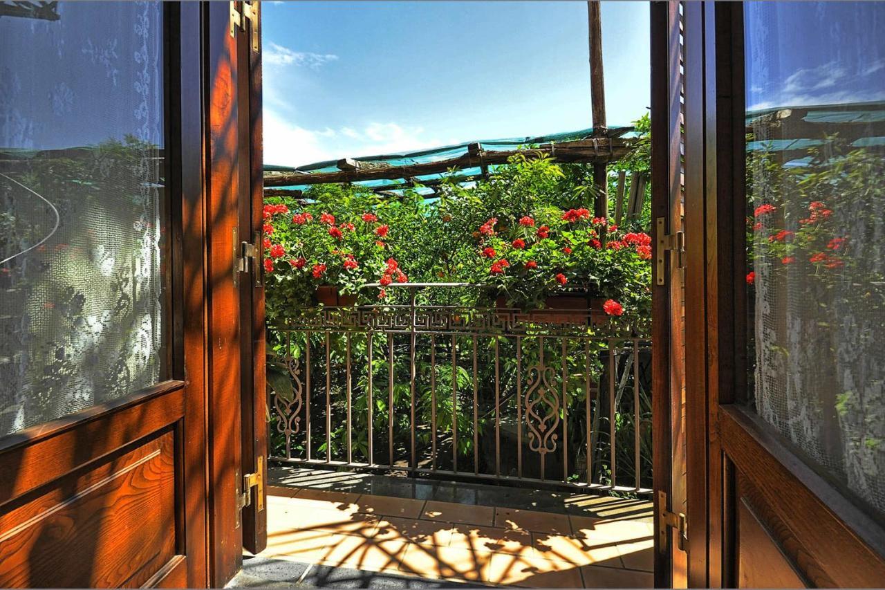 Double Room with Balcony,748002065:JPEG