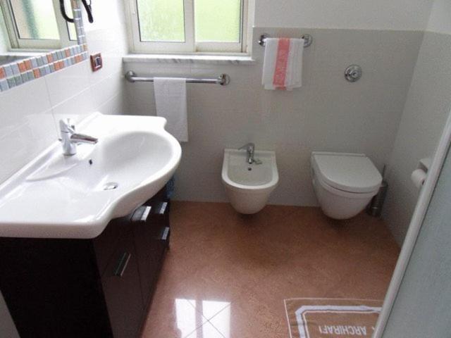 Single Room,52163690:JPEG