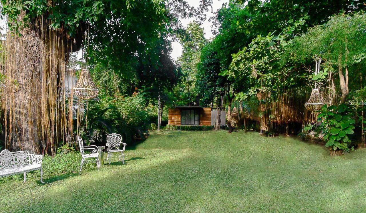 Suite Jardín
