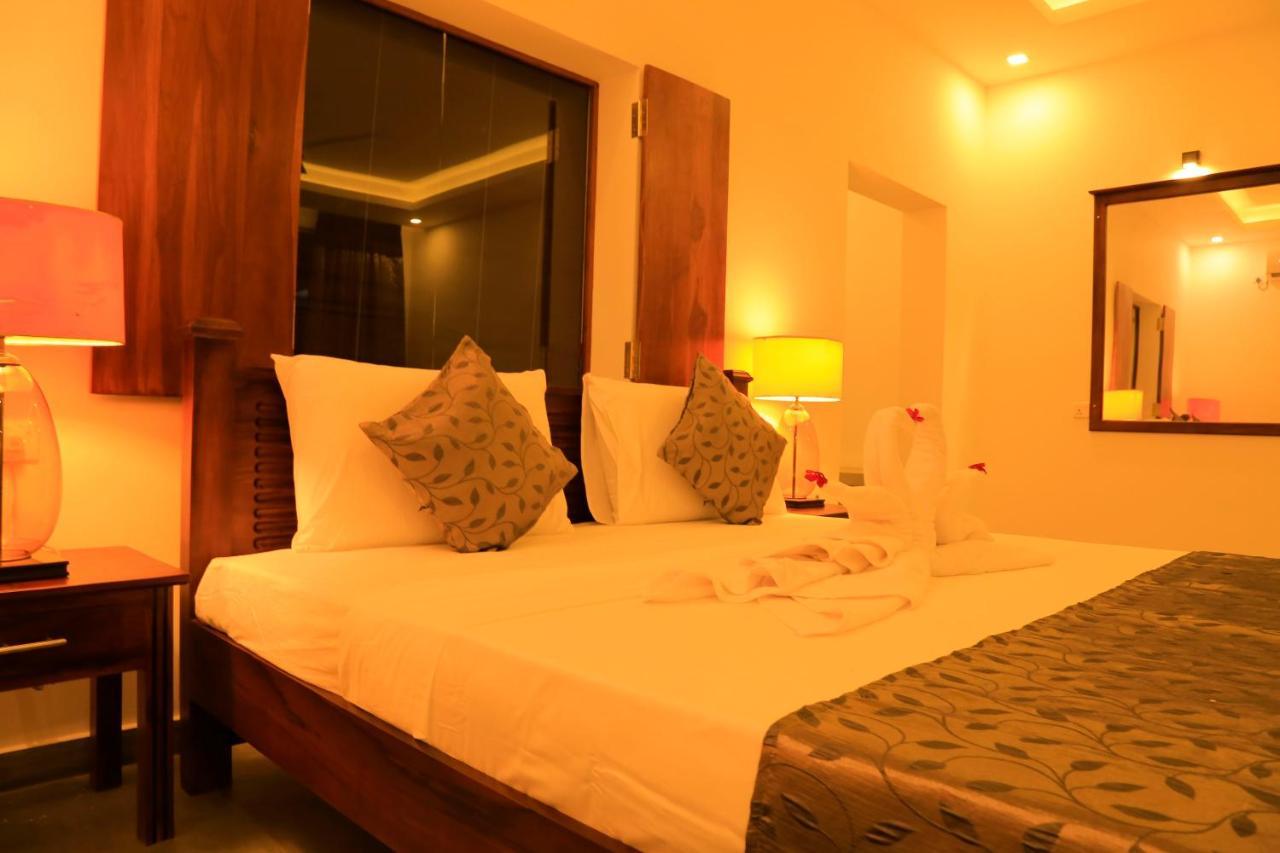 King Room Lake View on Food & Beverage on Yala Jeep Hire & Evening Tea or Coffee,759266819:JPEG