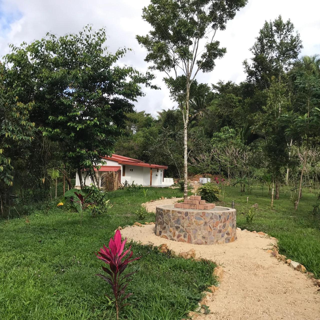 Studio with Garden View