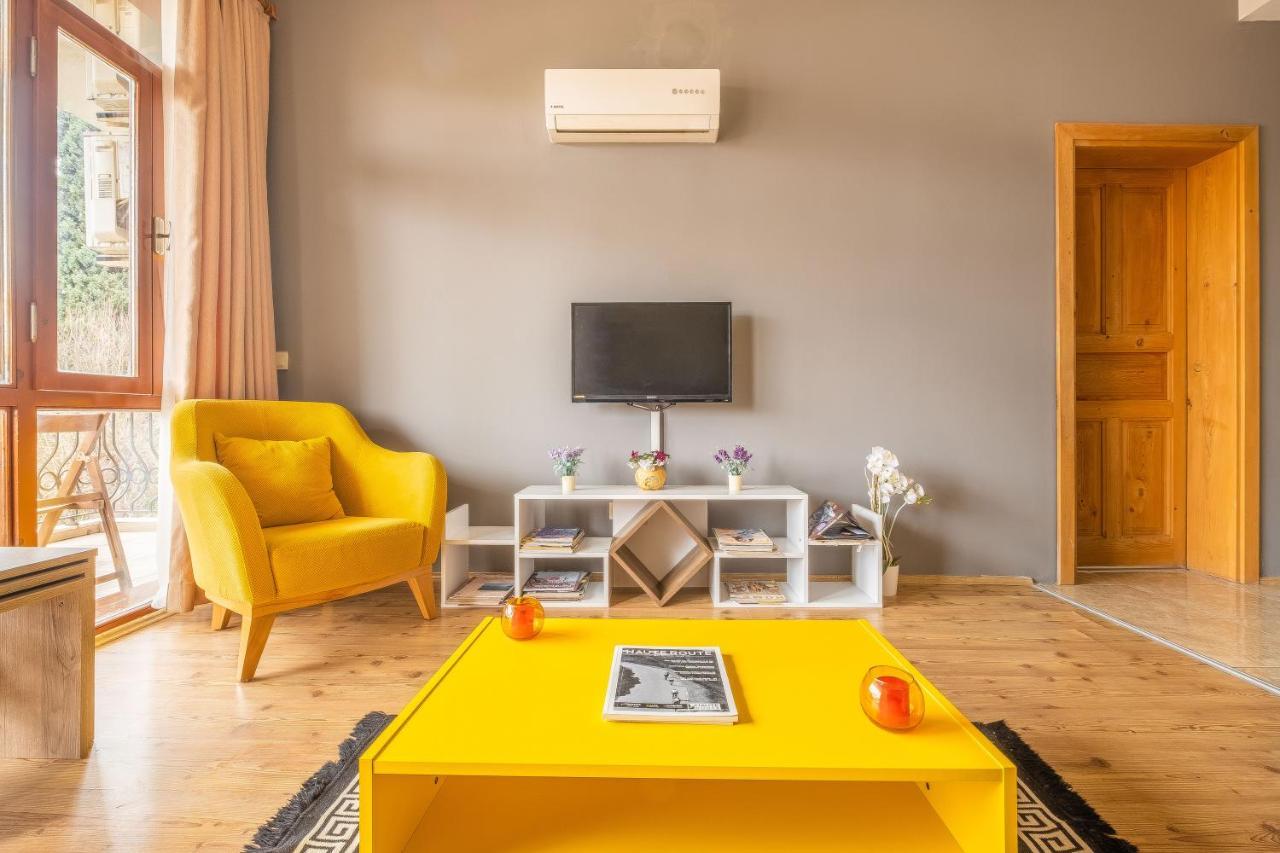 Deluxe Large Apartment