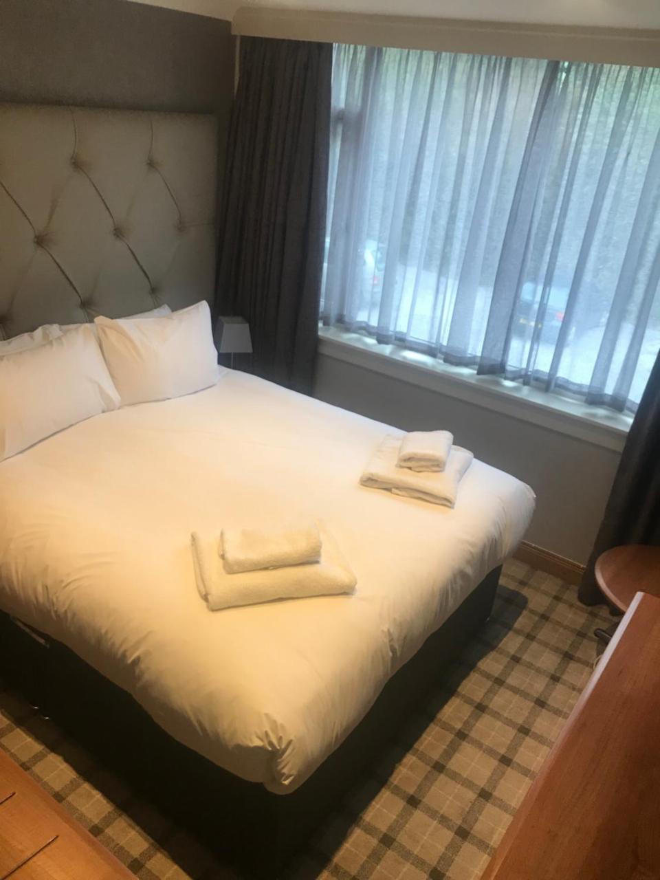 Family Room,767026789:JPEG