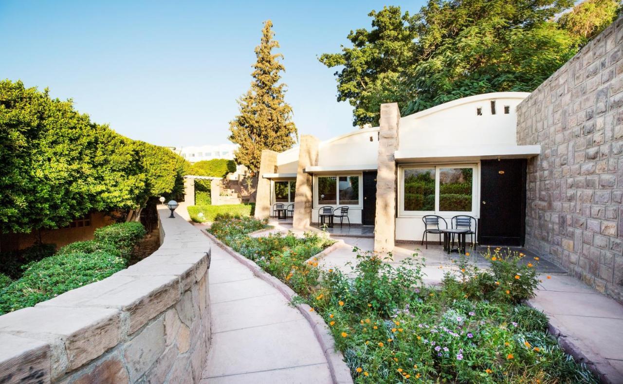 Single Room with Garden View