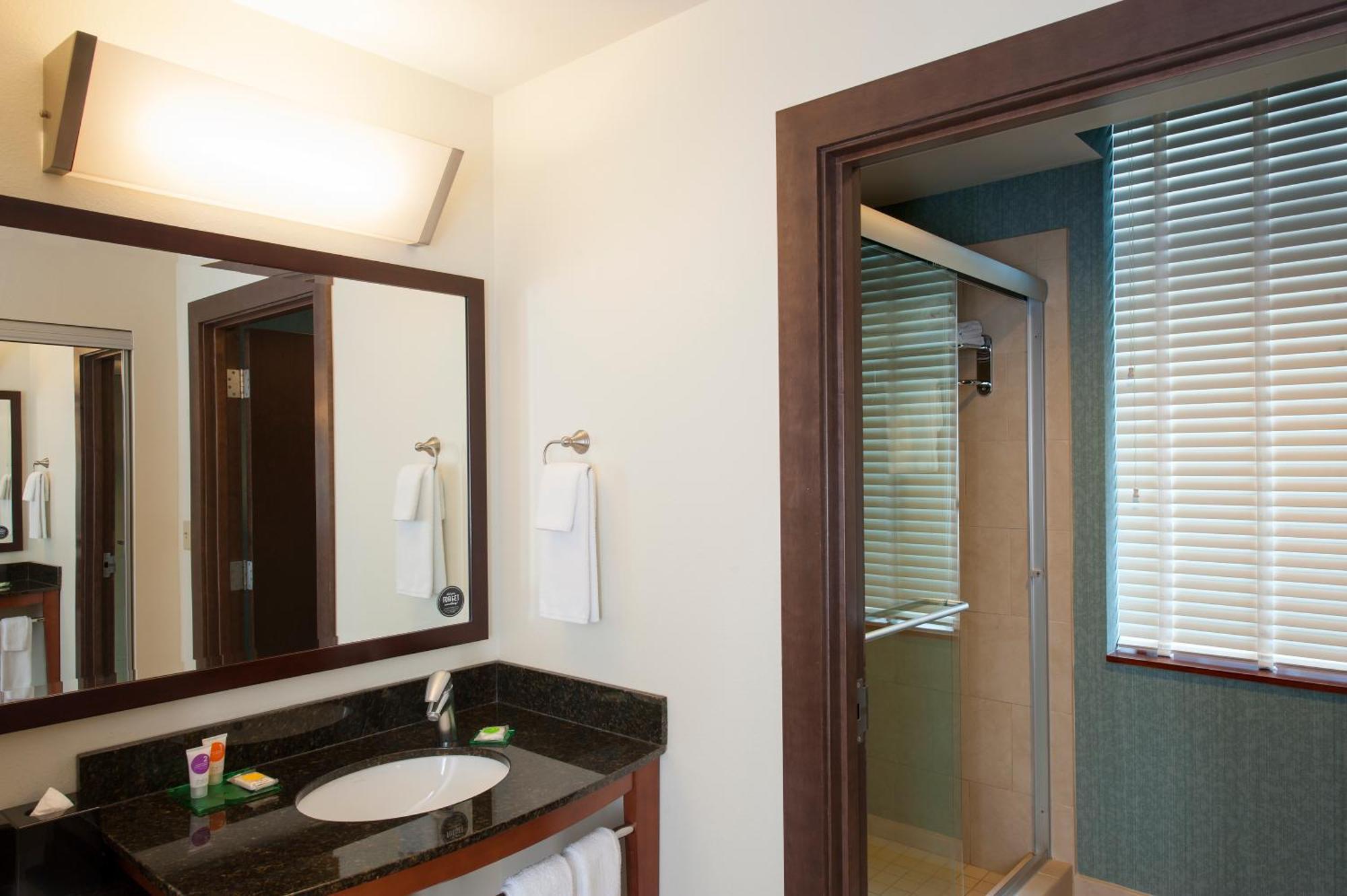 One-Bedroom King Suite with Sofa Bed and Roll-In Shower - Disability Access