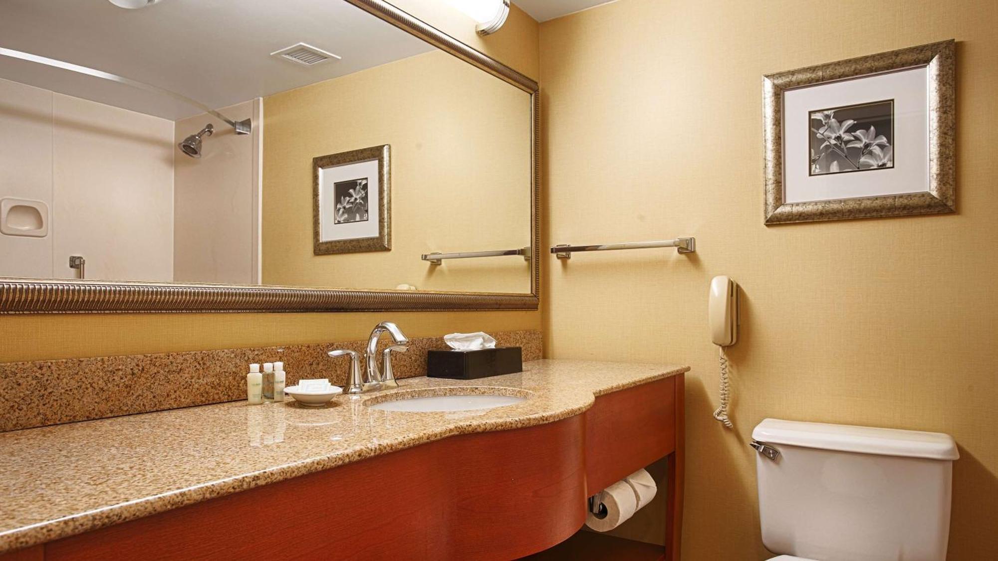King Suite with Sofa Bed - Non-Smoking