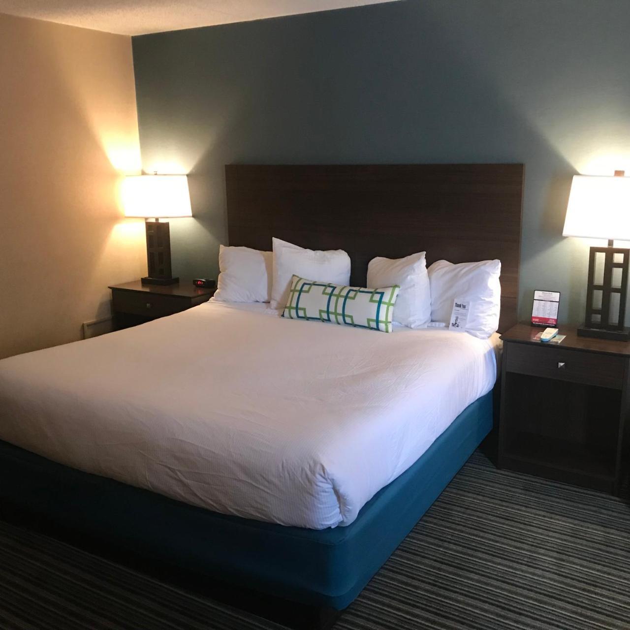 Standard Queen Room