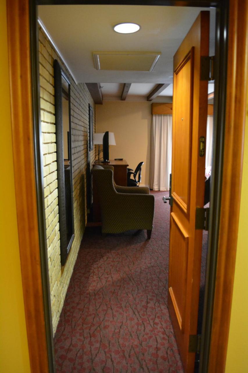 Suite Executive