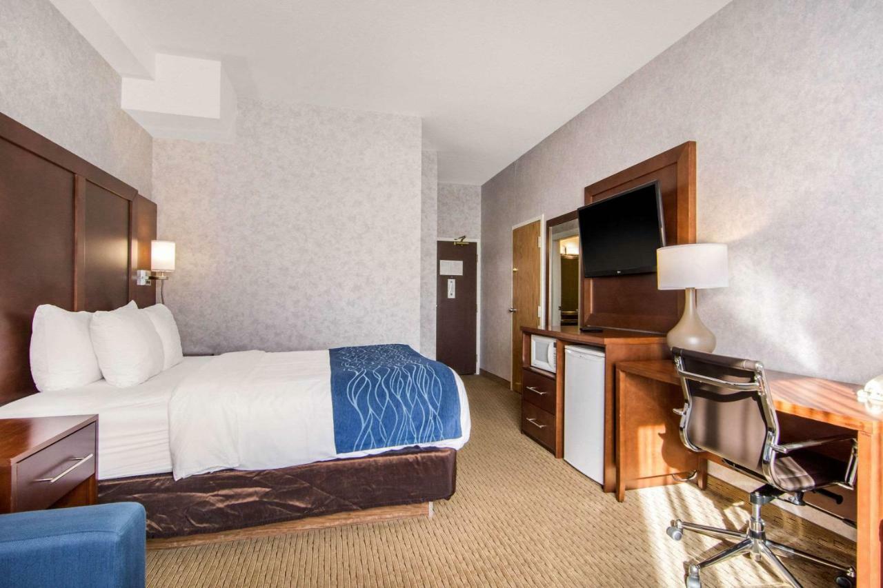 Queen Room - Non-Smoking/Pet Friendly