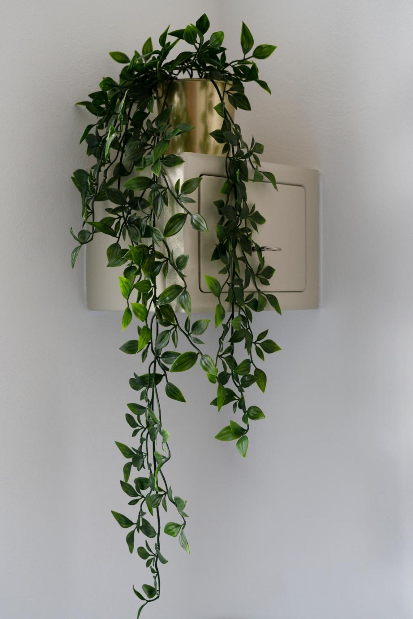 Triple Room,790626483:JPEG