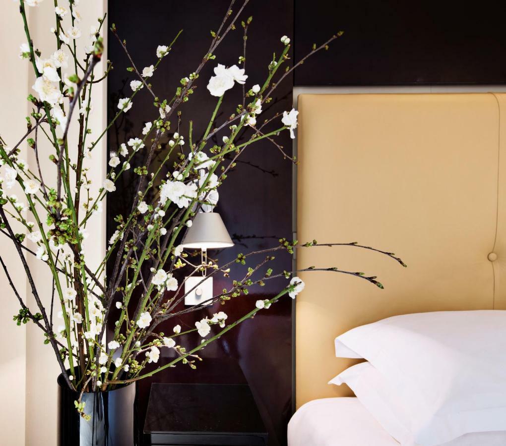 Suite Deluxe 1 Chambre