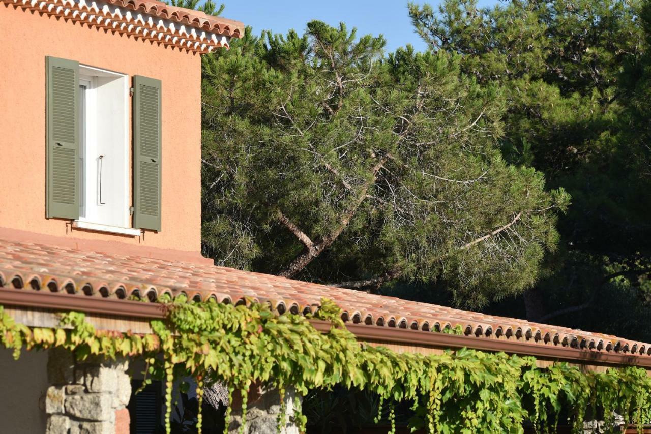 Chambre Double Supérieure - Vue sur Piscine