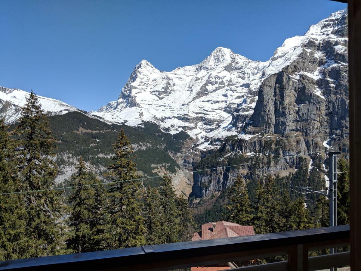 Superior Double Room Balcony Mountain View