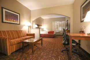 King Suite - Mobility Accessible with Bathtub and Sofa Bed