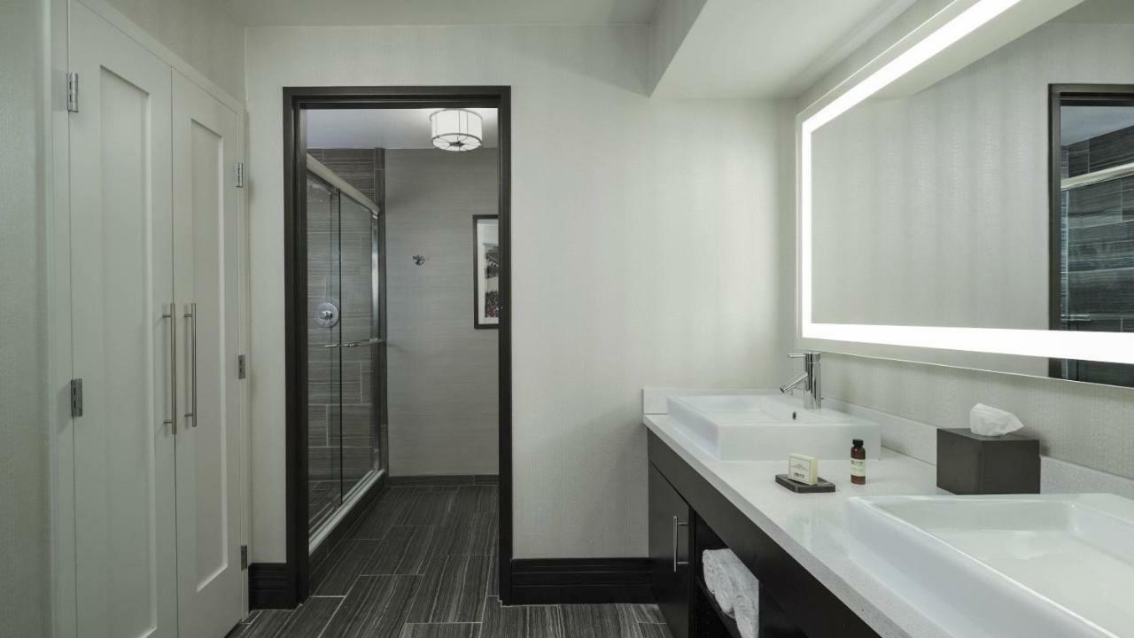 Suite de 1 dormitorio con cama extragrande y sofá cama